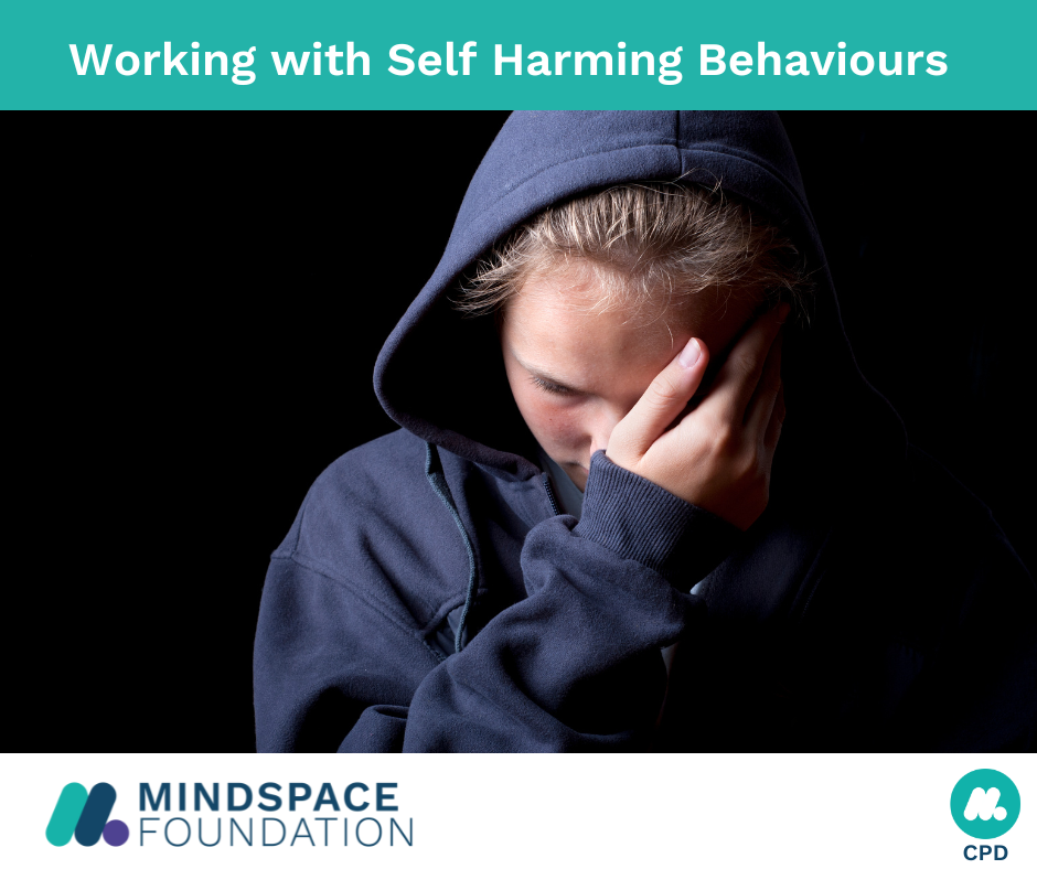 Workshop CPD self harming behaviours